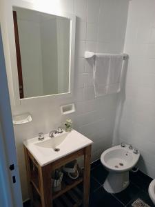 布宜诺斯艾利斯Hermoso departamento en el corazón de Palermo Soho的白色的浴室设有水槽和卫生间。