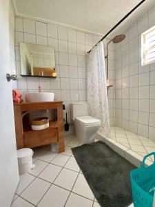 威廉斯塔德Casa Augusto的一间带水槽、卫生间和淋浴的浴室
