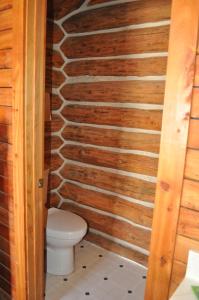 杜波依斯Crooked Creek Guest Ranch的一间带卫生间和木墙的浴室