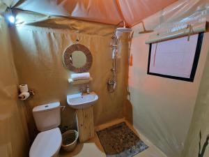 马拉喀什Nkhila Lodge的一间带卫生间和水槽的小浴室