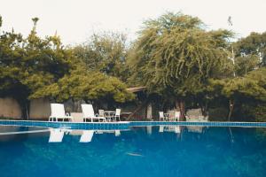 莫索罗魏里奥斯特酒店的一个带白色椅子和树木的游泳池