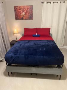 坦帕Oak Ridge House的一间卧室配有一张大蓝色的床和红色枕头