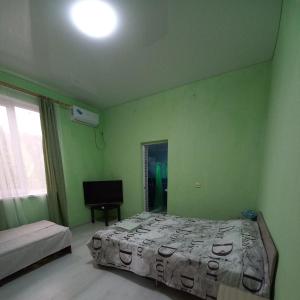 新阿丰Guest house na Myasnikova Diamond的绿色卧室配有床和电视