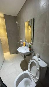 巴淡岛中心Alexa Meisterstadt pollux habibie的一间带卫生间和水槽的浴室