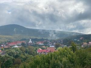 CărbunariLa Padurea Mica的一座以山为背景的小城镇