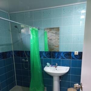 新阿丰Guest house na Myasnikova Diamond的浴室设有绿色的淋浴帘和水槽