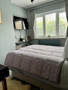 康威Woodbriar的一间卧室设有床、两个窗户和一台电视