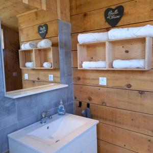 Saint-Barthélemy-le-PlainCamping car vintage的浴室配有盥洗盆、镜子和毛巾