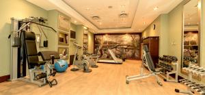 约翰内斯堡Piazza Hotel Montecasino的一间健身房,里面设有数个健身器材