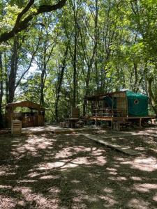 MiélanHebergement insolite, Location Yourte au bord du lac de mielan的树林里的一组帐篷