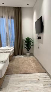 阿尔科兰Chalet 2200的一间带两张床、电视和植物的卧室