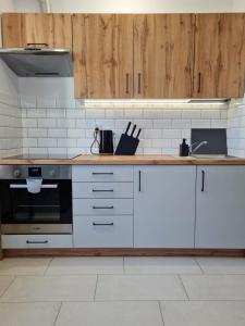 卢托维斯卡Apartamenty Pod Dachem的厨房配有白色家电和木制橱柜