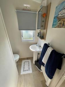 惠茨特布尔Crandley Manor Lodge的一间带水槽和卫生间的小浴室