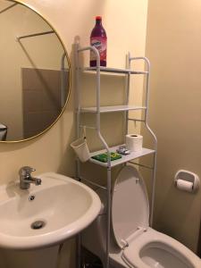 大雅台Wjbca Staycation的一间带水槽、卫生间和镜子的浴室