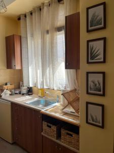 希俄斯GK Apartment的厨房设有水槽和窗户。