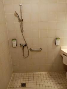 尚蒂伊尚蒂伊基里亚德酒店的带淋浴和盥洗盆的浴室