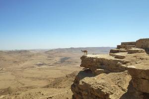 米茨佩·拉蒙Desert Breeze的站在沙漠悬崖顶上的 ⁇ 子