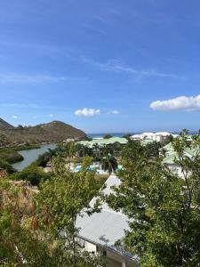 Anse Marcel Cottage Cosy Duplex Anse Marcel, Vue mer et marina的享有河流和树木的度假胜地美景