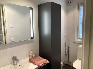 BurträskTrevlig stuga/gårdshus med egen parkering的一间带水槽和镜子的浴室