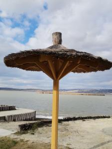 加尔多尼Amur Vendégház的坐在海滩上靠近水面的大遮阳伞