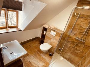 萨勒河畔瑙姆堡Zum Alten Krug的带淋浴、卫生间和盥洗盆的浴室