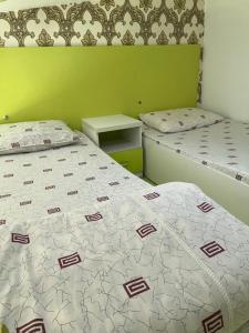 杜尚别Anisa- Hostel的一间卧室设有两张床和绿色的墙壁