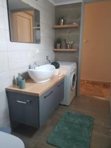 干尼亚Dimitras residence的一间带水槽和洗衣机的浴室