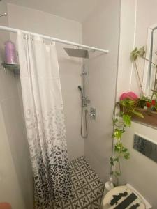 YehudDudger home的带淋浴帘和卫生间的浴室
