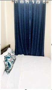 奈瓦沙Rubi Apartment的卧室里一张带蓝色窗帘的床