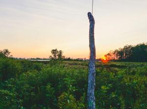 HillierFronterra Farm- Luxury Camp Experiences的地里的柱子,背面是日落
