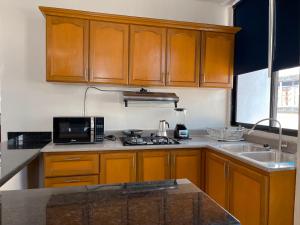 圣多明各Hotel Casa Libertad的厨房配有木制橱柜、水槽和微波炉