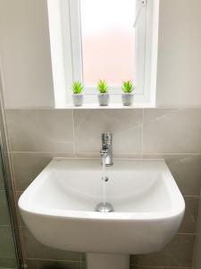 安德沃Antley House的浴室水槽,窗户上装有三盆植物