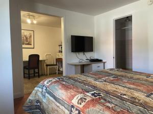 魁北克市Hotel Motel Le Regent的一间卧室配有一张床、一张书桌和一台电视