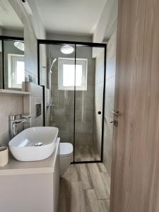 雅典Stunning Penthouse Combo near Glyfada - free Parking的一间带水槽、卫生间和淋浴的浴室