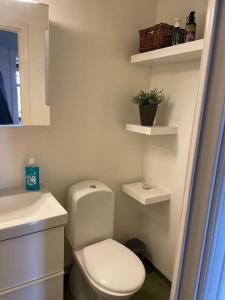 斯德哥尔摩Apartment Garbo的浴室配有白色卫生间和盥洗盆。