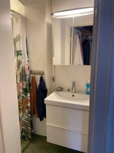 斯德哥尔摩Apartment Garbo的一间带水槽和镜子的浴室