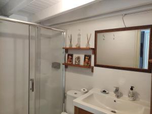拉斯特雷斯Pexe na mar的带淋浴、盥洗盆和镜子的浴室