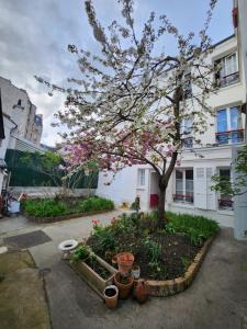 巴黎The heart of Montmartre的庭院里一棵花粉色的树
