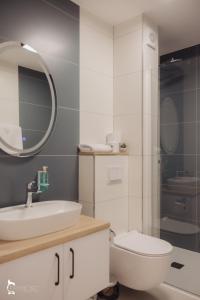 克卢日-纳波卡ZEN Garden Apartments的一间带水槽、卫生间和镜子的浴室