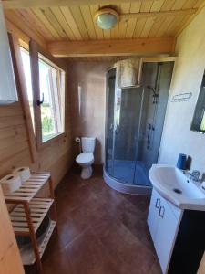 尤斯托尼莫斯基Hals domki letniskowe的带淋浴、卫生间和盥洗盆的浴室