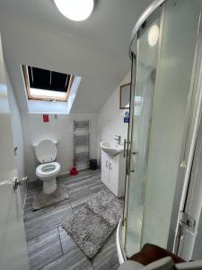 伦敦WoodGreen house的一间带卫生间和水槽的浴室