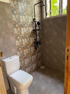 阿鲁沙Tiny house with amazing view的一间带卫生间和石墙的浴室
