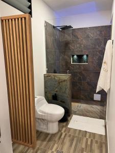 圣希尔Palmar San Gil的一间带卫生间和淋浴的浴室