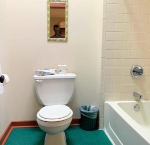 LakesideLakeside Inn的一间带卫生间、浴缸和镜子的浴室
