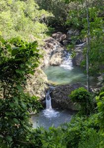 SarraméaEVASION Bungalow Tropical Spa的瀑布,在水中