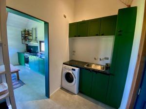 巴拉斯港Cabaña con chimenea en Pto Varas的厨房配有绿色橱柜和洗衣机。