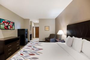 佩科斯Red Roof Inn Pecos的配有一张床和一把椅子的酒店客房