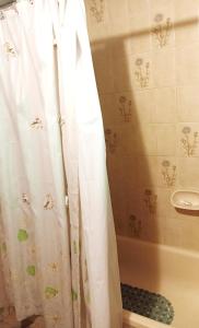 门多萨"C" SPACIO HOSTEL - Habitación Compartida por separado para femenino o masculino-的浴室配有淋浴帘和浴缸。