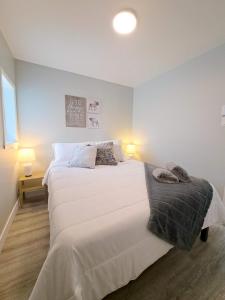 圣安娜德博普雷Habitations Zenith的卧室设有一张白色大床和一扇窗户。