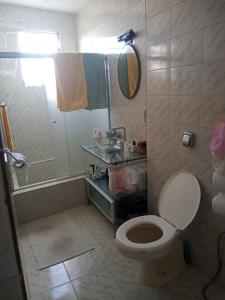 里约热内卢Quartos Prox Engenhão e Norte Shopping的一间带卫生间和淋浴的浴室